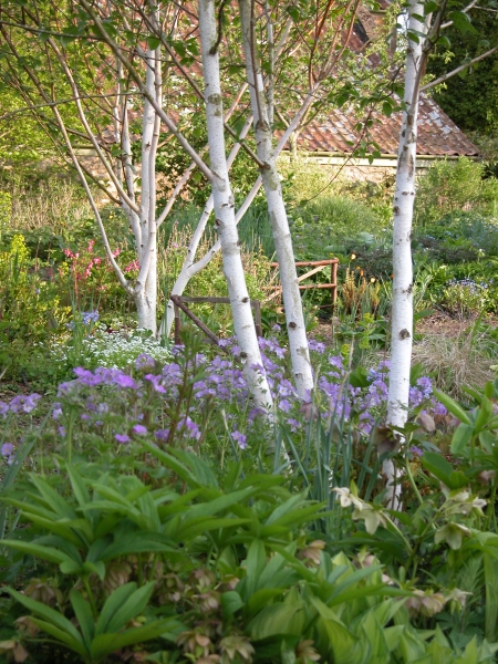 East Lambrook Manor Gardens